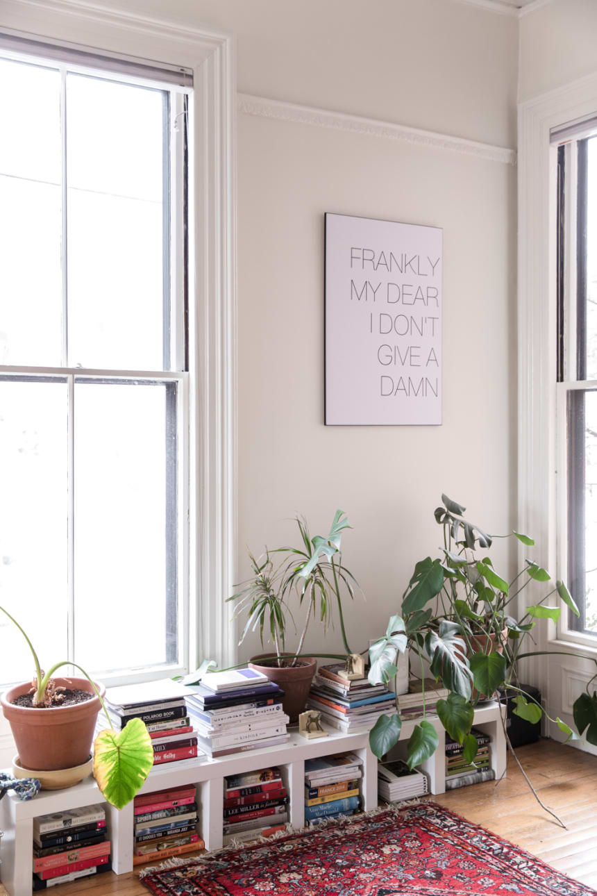 Erin Little's library and plant nook. Image credit: Erin Little